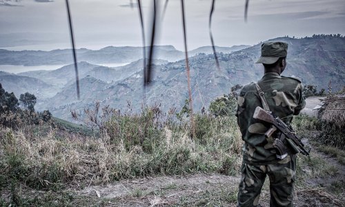 Photo: Erberto Zani via Adobe Stock