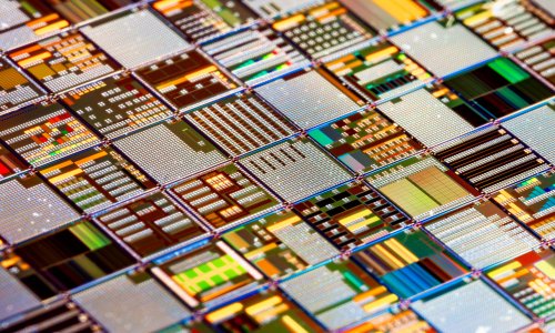 Photo: Andrei Armiagov via Adobe Stock