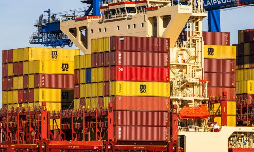 Photo: KKF via Adobe Stock