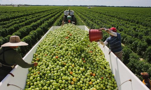 Photo: Joe Raedle/Getty Images