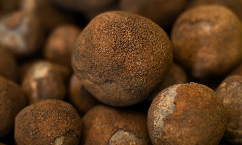 Photo: WILLIAM WEST/AFP via Getty Images