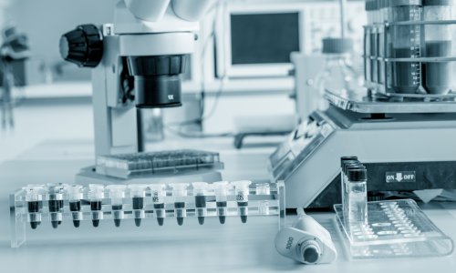 Photo: luchschenF/Adobe Stock