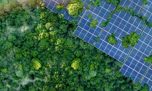 Photo: Dee karen/Adobe Stock