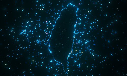 Photo: agratitudesign/Adobe Stock