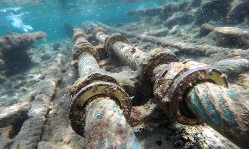 Photo: Alifa Gallery/Adobe Stock