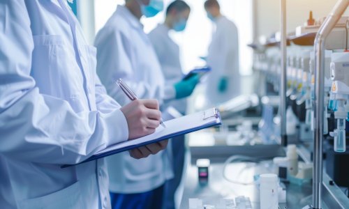 Photo: VK Studio/Adobe Stock