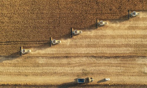 Photo: ArtistGNDphotography/Getty Images