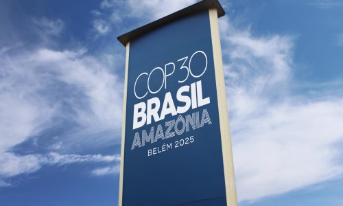 Photo: CURIOS/Adobe Stock