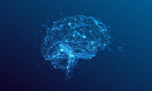 Photo: megavic93/Adobe Stock