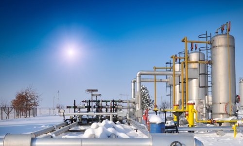 Photo: zorandim75/Adobe Stock