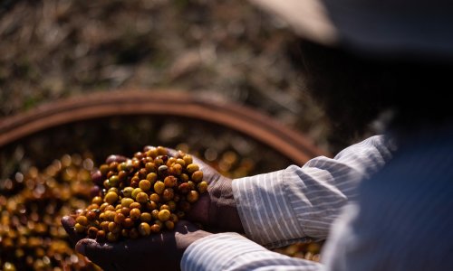 Photo: DOUGLAS MAGNO/AFP/Getty Images
