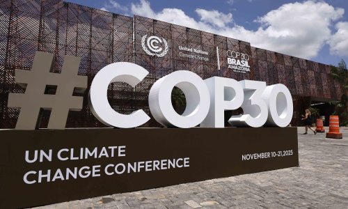 Photo: Wagner Meier/Getty Images