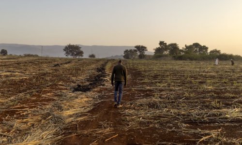 A man walks through a destroyed field.