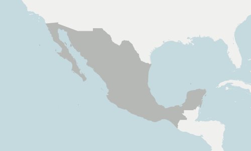 Fulcrums of Order: Rising States and the Struggle for the Future