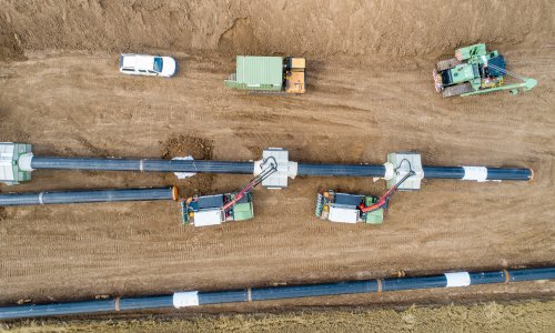 Photo: dechevm/Adobe Stock