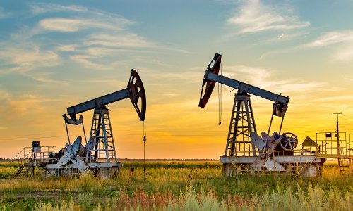 Photo: Larisa/Adobe Stock