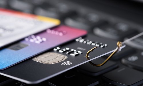 Photo: nevodka.com/Adobe Stock