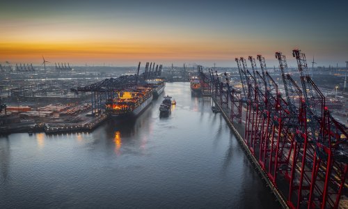 Photo: Schroptschop/Getty Images