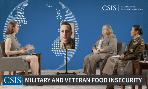 Policy Brief Launch: Solving Food Insecurity Among U.S. Veterans and Military Families