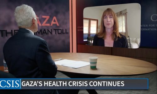 Dahlia Scheindlin on Israeli Opinion—Gaza: The Human Toll