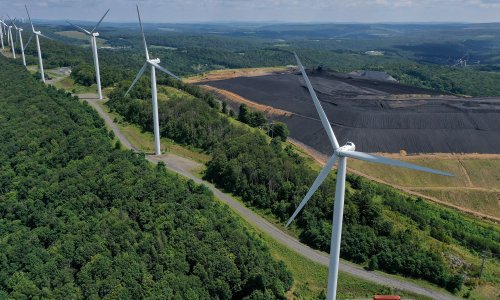 Photo: Chip Somodevilla/Getty Images