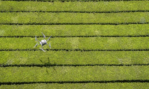 Photo: PATRICK MEINHARDT/AFP via Getty Images