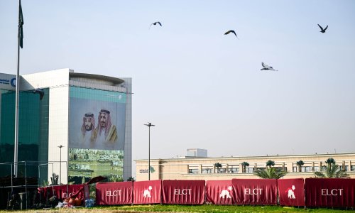 Photo: Sebastian Gollnow/picture alliance via Getty Images
