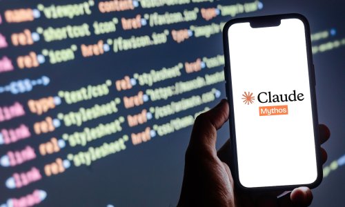 Photo: photo for everything/Adobe Stock