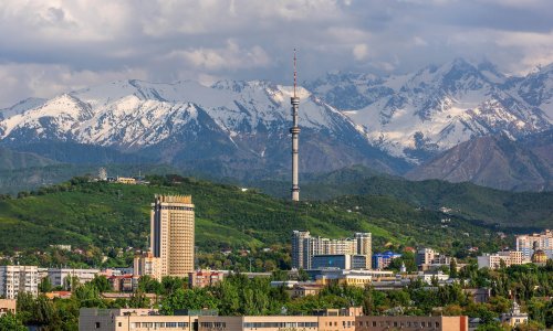 Photo: Max Zolotukhin/Adobe Stock