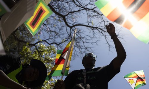 Photo: Alet Pretorius/Gallo Images via Getty Images