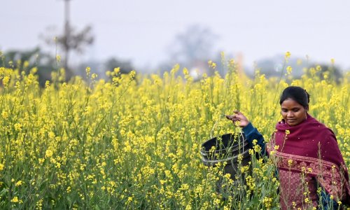 Photo: Arun SANKAR / AFP via Getty Images