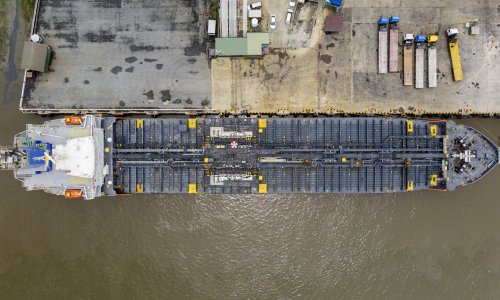 Photo: Photos for You/Getty Images