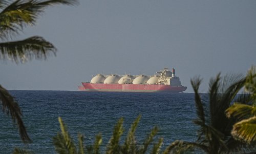 Photo: Shady Alassar/Anadolu/Getty Images