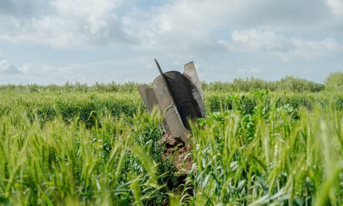 Photo: Erik Marmor/Getty Images
