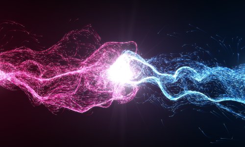 Photo: kmls/Adobe Stock