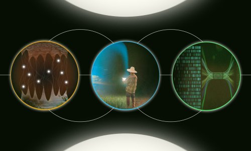 Illustration representing AI applications for food security