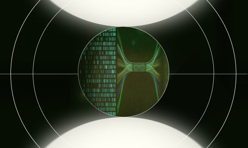 Illustration representing AI applications for crop optimization