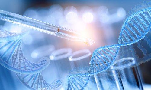 Photo: BillionPhotos.com/Adobe Stock