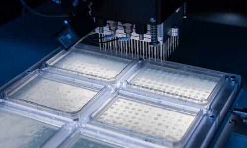 Photo: Ginkgo Bioworks, Inc