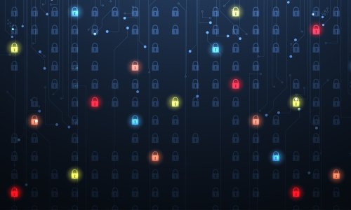 Photo: kras99/Adobe Stock 