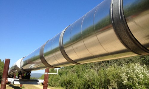 Photo courtesy of Maureen from https://www.flickr.com/photos/amerune/9294639633/