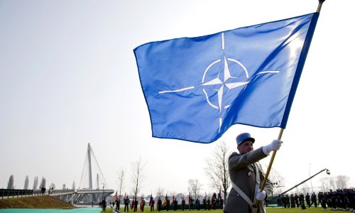 Photo: action press-Pool/Getty Images