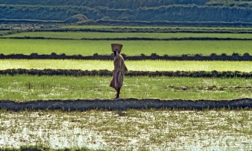 Photo: Africa Renewal/CC BY-NC-SA 2.0