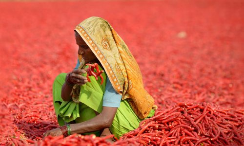 Photo: SAM PANTHAKY/AFP/Getty Images
