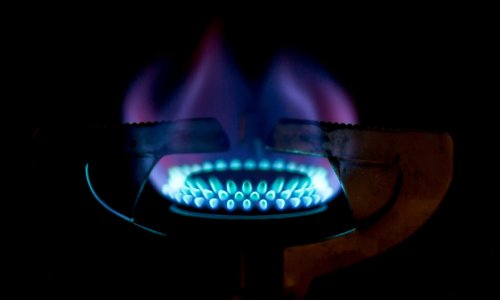 Photo: afedchenko/Adobe Stock