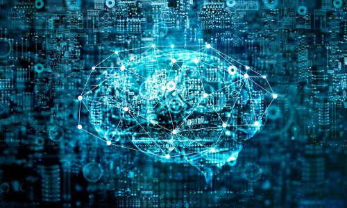 Photo: ipopba/Adobe Stock