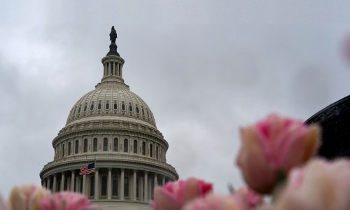 Photo: ALEX EDELMAN/AFP via Getty Images