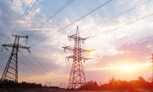 Photo: yelantsevv/Adobe Stock