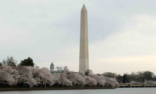 Photo: Paul Morigi/Getty Images
