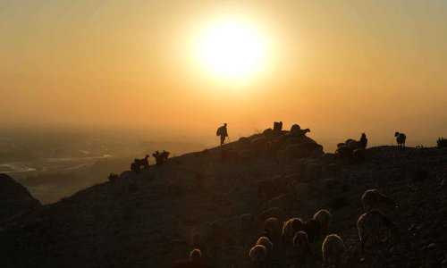 Photo: NOORULLAH SHIRZADA/AFP via Getty Images